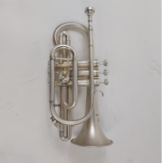 boosey & hawkes regent