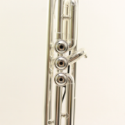 Trompet Bb Yamaha YTR-8345RGS Xeno