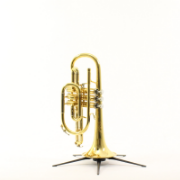 B&S Cornet Challenger II gelakt