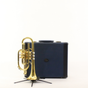 B&S Cornet Challenger II gelakt
