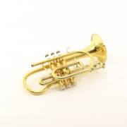B&S Cornet Challenger II gelakt