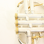 B&S Cornet Challenger CX verzilverd