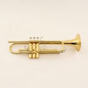 Yamaha YTR 8310Z  Bobbi Shew