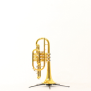 Cornet Bb Besson 2028 Prestige GL (Special Edition)