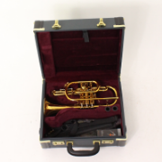 Cornet Bb Besson 2028 Prestige GL (Special Edition)