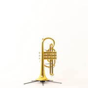 Cornet Bb Besson 2028 Prestige GL (Special Edition)