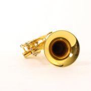 Cornet Bb Besson 2028 Prestige GL (Special Edition)
