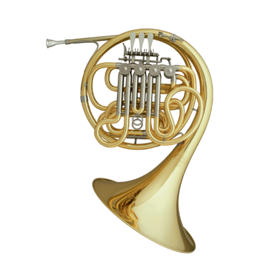 Hans Hoyer HH6801GA