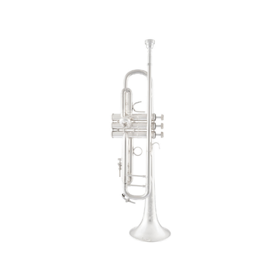 Vincent Bach stradivarius