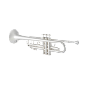 Vincent Bach stradivarius