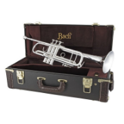 Vincent Bach stradivarius