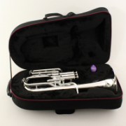 Besson Eb Tenor Horn BE152