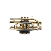 PROTEC Cornet ventielhuisbeschermer