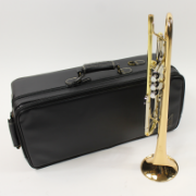 yamaha Bb trompet ytr8335R-17