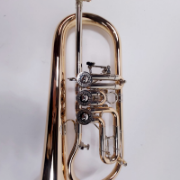 flugelhorn melton mwf12