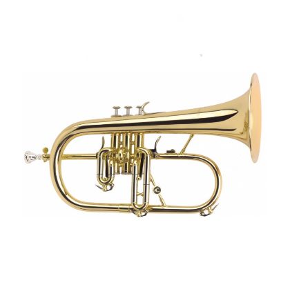 Afbeelding voor categorie Bugel / Flugelhorn