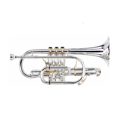 Afbeelding voor categorie Cornet Bb