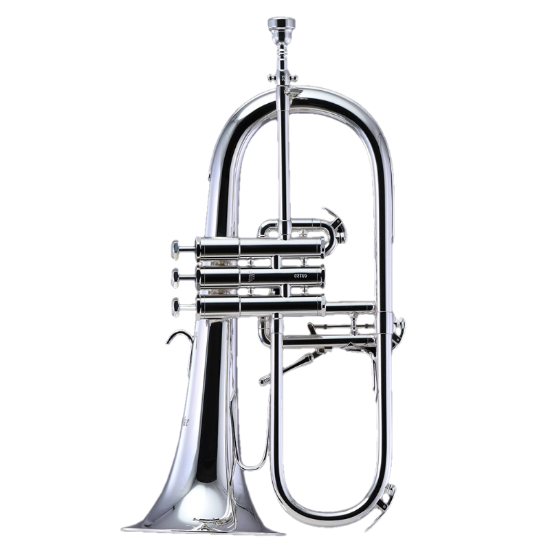 Afbeeldingen van Schilke Flugelhorn 1041 FLC-S
