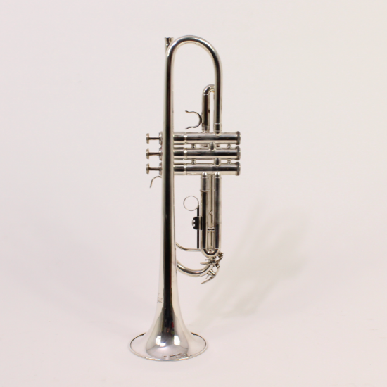 Roy Benson TR-202S Bb Trompet