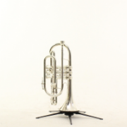 Afbeeldingen van Besson Bb Cornet BE723 (731052)