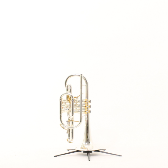 Afbeeldingen van Besson Bb Cornet 2028 Prestige