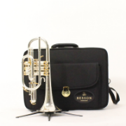 Afbeeldingen van Besson Bb Cornet BE2028 Prestige Demo