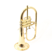 Afbeeldingen van First brass flugelhorn