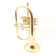 Afbeeldingen van First brass flugelhorn