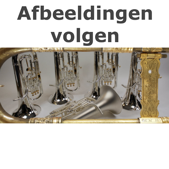 Afbeeldingen van Besson Bb bastuba BE992-732044  (Bes bas)