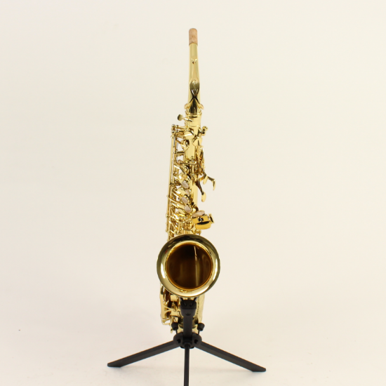 AXOS Selmer altsaxofoon totaaloverzicht
