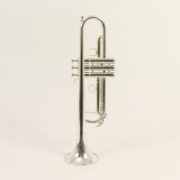 Zijaanzicht van Yamaha YTR-5335GSII trompet