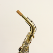 Yamaha YAS-23 alt saxofoon professioneel nagezien