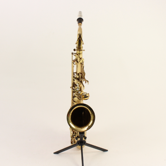 Diana 2000 tenorsaxofoon occasion speelklaar gemaakt