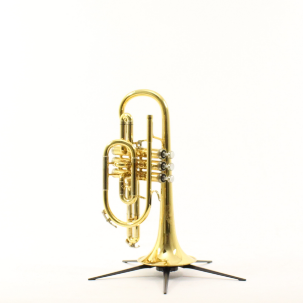 B&S Cornet Challenger II gelakt