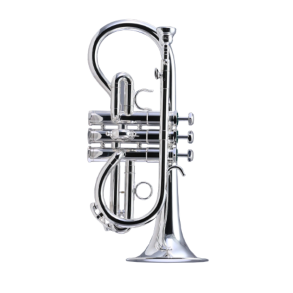 Schilke Eb Cornet Beryllium