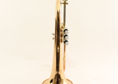 Bach Bugel FH501
